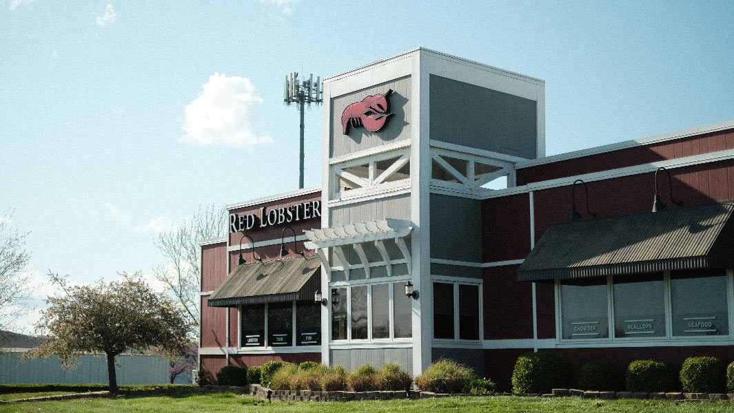 Red Lobster Commercial Real Estate in Marion, Illinois on The Hill